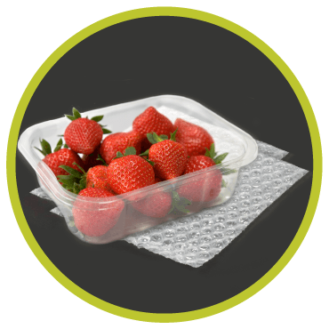 Bolha de Ar Agroalimentar_Embalsantos