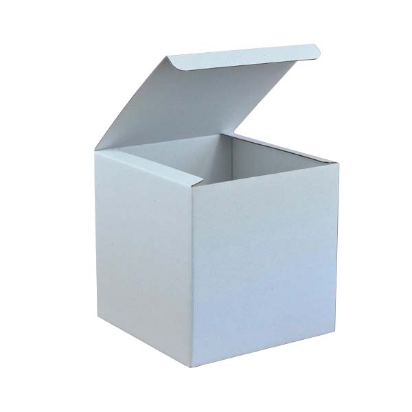 3001003828_Embalsantos