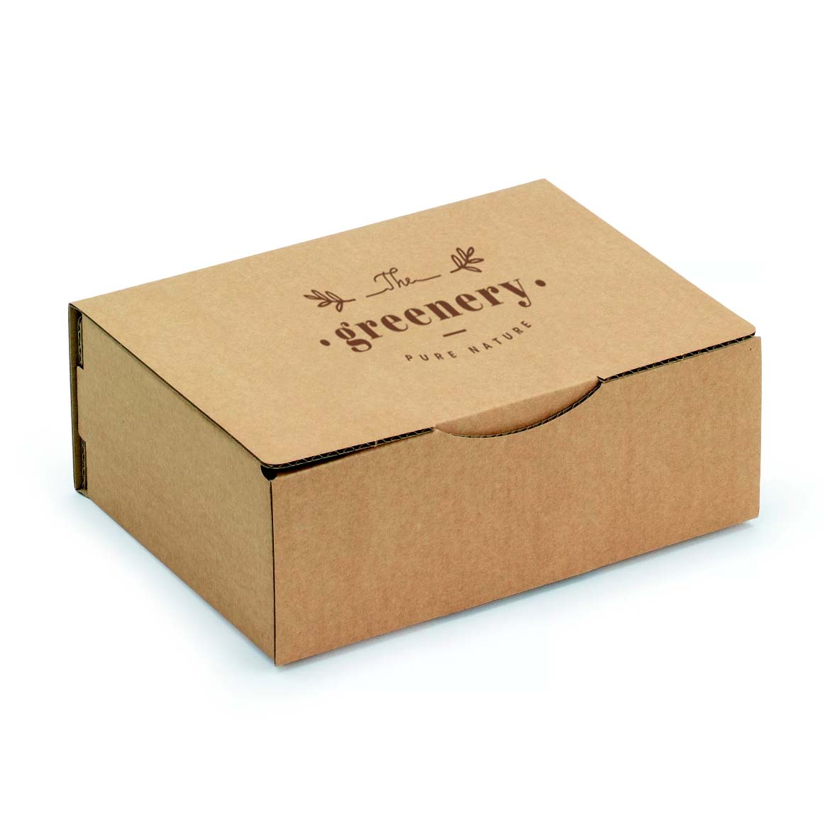 caixa-expedicao2_embalsantos