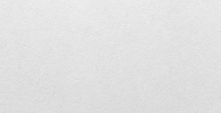 White wall background. A high resolution macro photograph